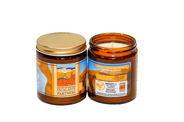 GSEP Baja Cactus Blossom Candle - Image 3