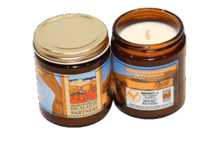GSEP Baja Cactus Blossom Candle