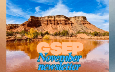 November 2025 Newsletter
