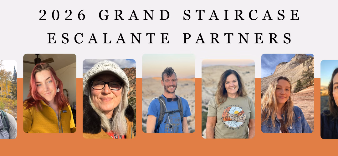 December 2025 Newsletter