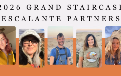 December 2025 Newsletter