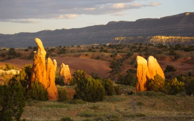 Desert landscape with cottonwoods and cliffs