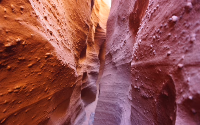 Slot canyon wall in Grand Staircase-Escalante