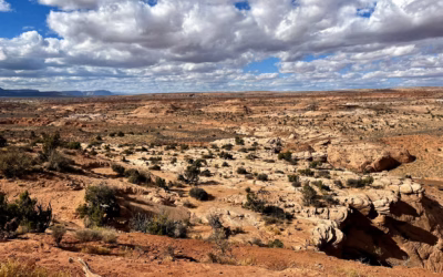 Expansive Grand Staircase-Escalante landscape